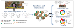 Logo Mycotoxin-Soil interactions: The role of soil in the biosynthesis, sorption, degradation and biological effects of mycotoxins