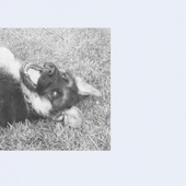 Logo Publikation »Werkbericht Nr. 21 — Zufall und Innovation«