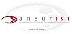 Logo aneurIST - Integrated Biomedical Informatics for the Management of Cerebral Aneurysms