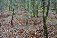 Logo Frühe Eisengewinnung im Ingelheimer Wald