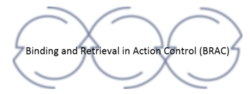 Logo RESEARCH UNIT Binding and Retrieval in Action Control (FOR2790):
Coordination project