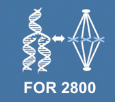 Logo Forschergruppe 2800 (FOR 2800), SP3