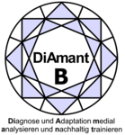 Logo Diagnosekompetenz mit Videovignetten entwickeln - Der Einfluss von Feedback (DiAmant B)