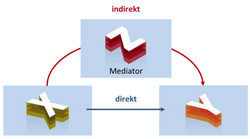 Logo Projekt A 1: Indirekte Effekte von Temperaturänderungen und Nährstoffeinträgen auf herbivore Insekten