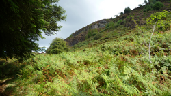 Logo Projekt A 3: Indirekte Effekte von Temperaturänderungen und atmosphärischen Nährstoffeinträgen auf die Phytodiversität in Hangmooren