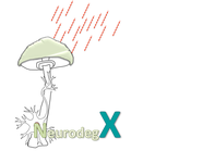 Logo Isolation und Charakterisierung neuroprotektiver Substanzen aus Pilzen und Cyanobakterien als potentielle Wirkstoffe zur Behandlung neurodegenerativer Erkrankungen (NeurodegX)