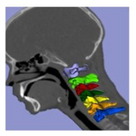 Logo Smombi: Head-Down Generation