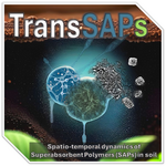 Logo TransSAPs - How the spatio-temporal transformation of superabsorbent polymers (SAPs) alters soil processes