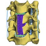 Logo Cervical Spine