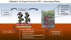 Logo GP-Soil: Reduction of agricultural waste in wine production