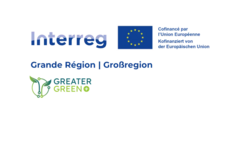 Logo greater green +