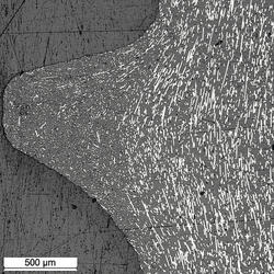 Schliffbild der Gewindeflanke der CF-PEEK Pedikelschraube