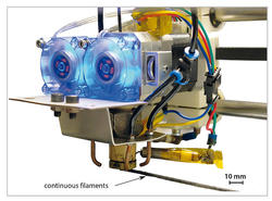 Drucken endlosfaserverstärkter Einleger